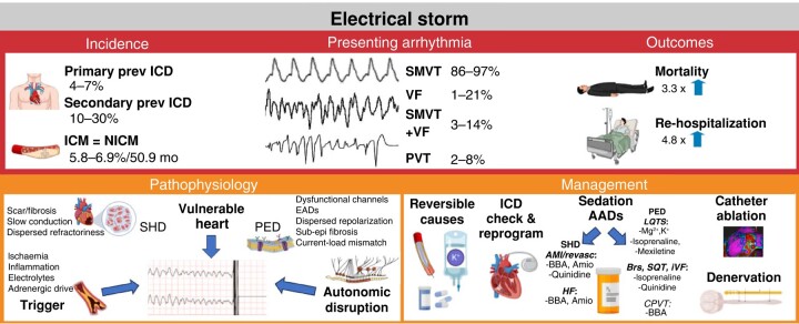 Graphical abstract