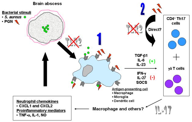 Figure 13