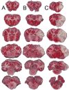 Fig 4