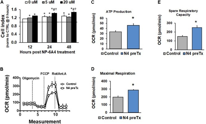 FIGURE 4