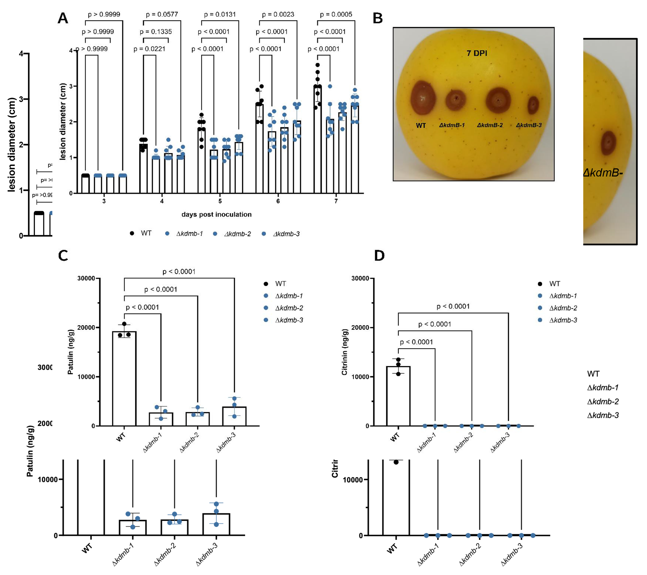 Fig. 3.