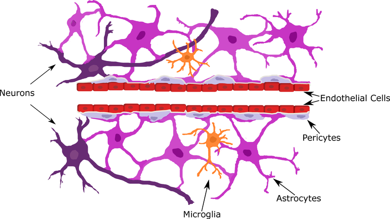 Figure 1: