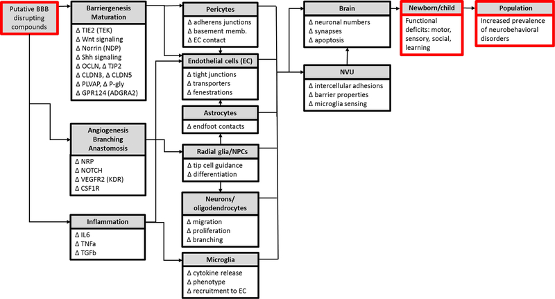 Figure 5: