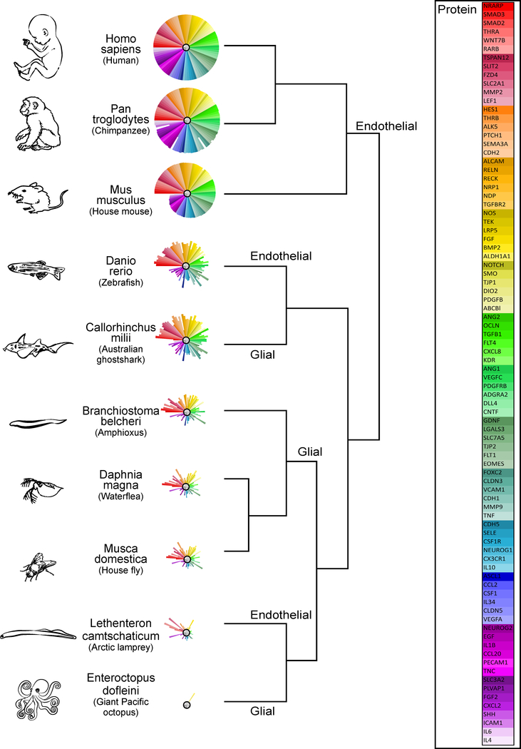 Figure 2: