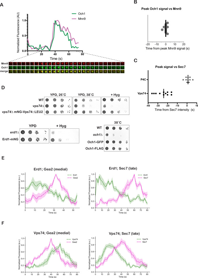 Figure 4—figure supplement 1.