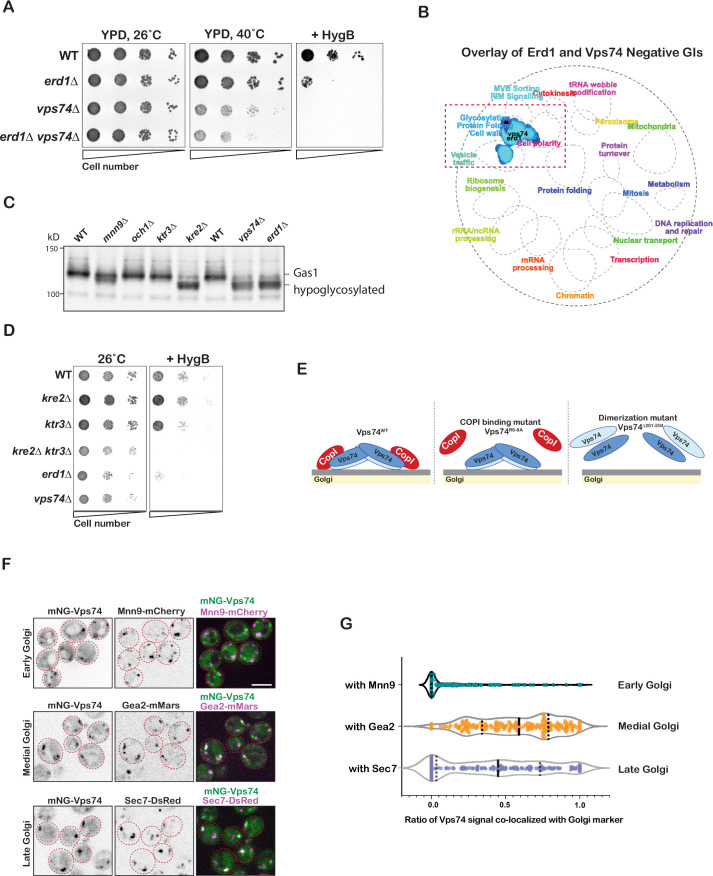 Figure 2—figure supplement 1.