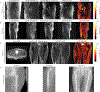 FIGURE 9: