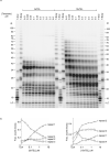 Extended Data Fig. 4