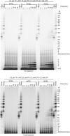 Extended Data Fig. 6