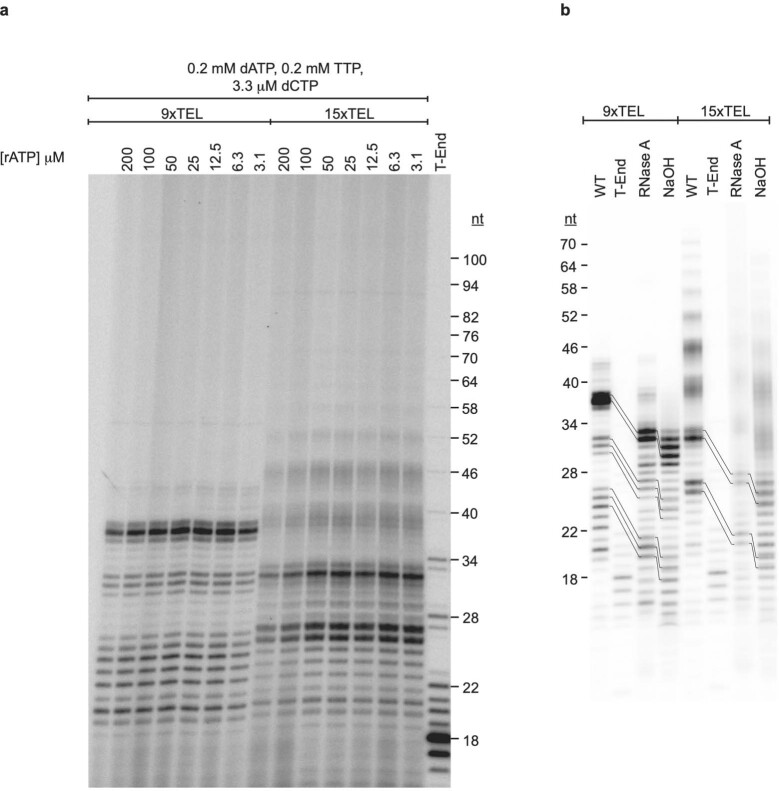 Extended Data Fig. 5