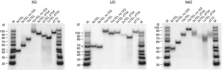 Extended Data Fig. 7