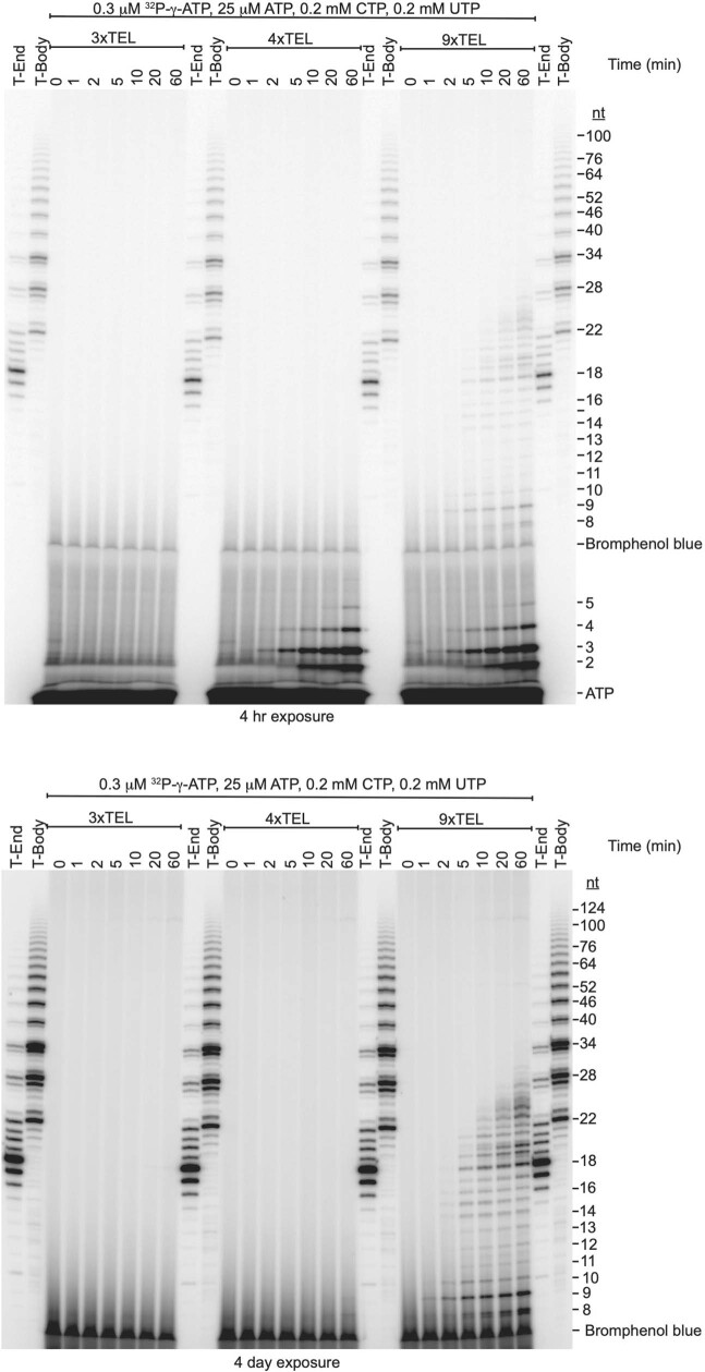 Extended Data Fig. 6