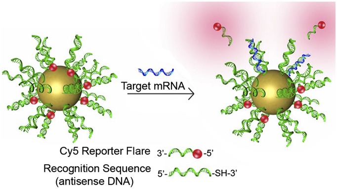 Fig. 3.