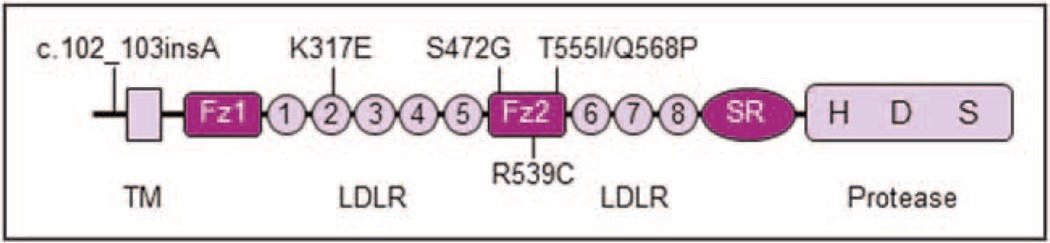 FIGURE 3