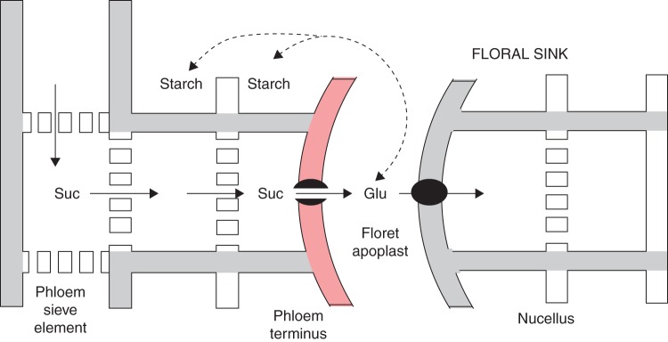 Fig. 10.