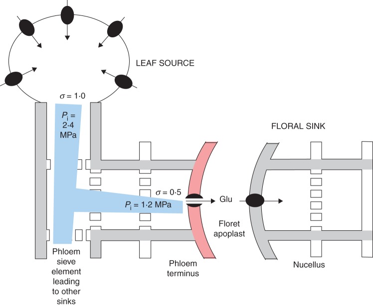 Fig. 11.