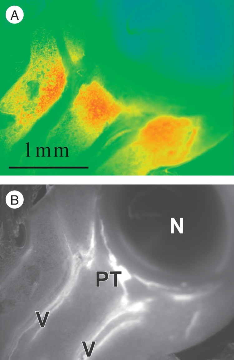 Fig. 3.