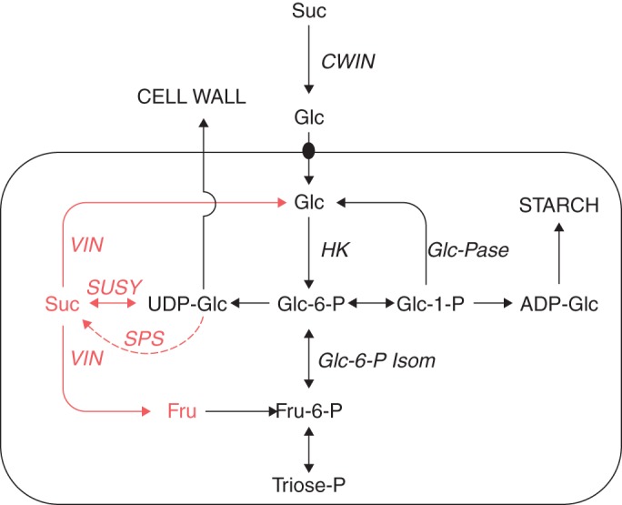 Fig. 9.