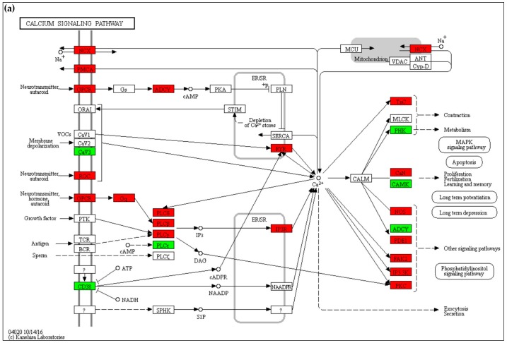 Figure 7