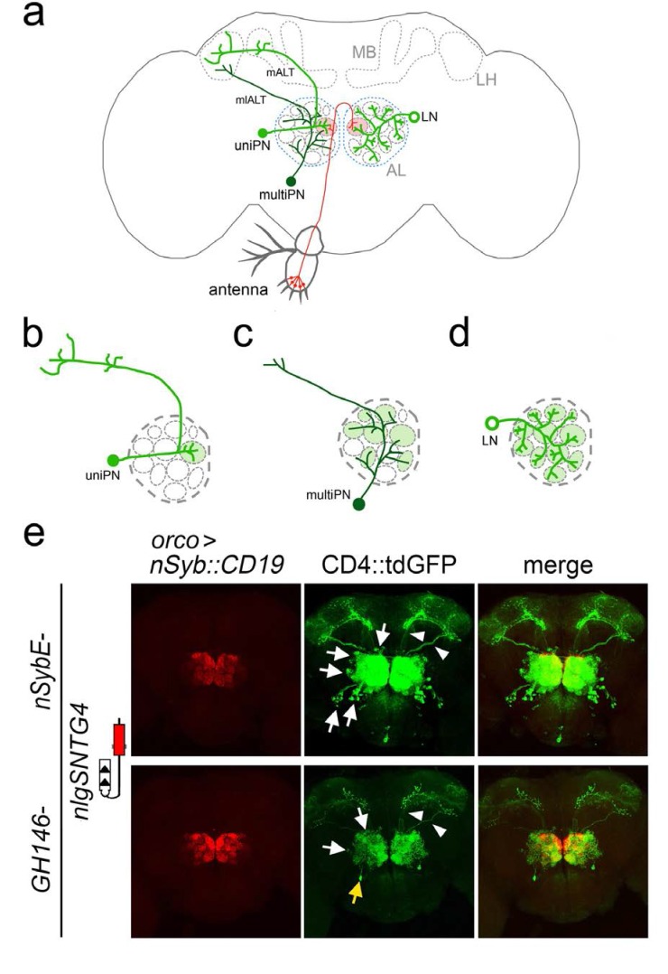 Figure 2.