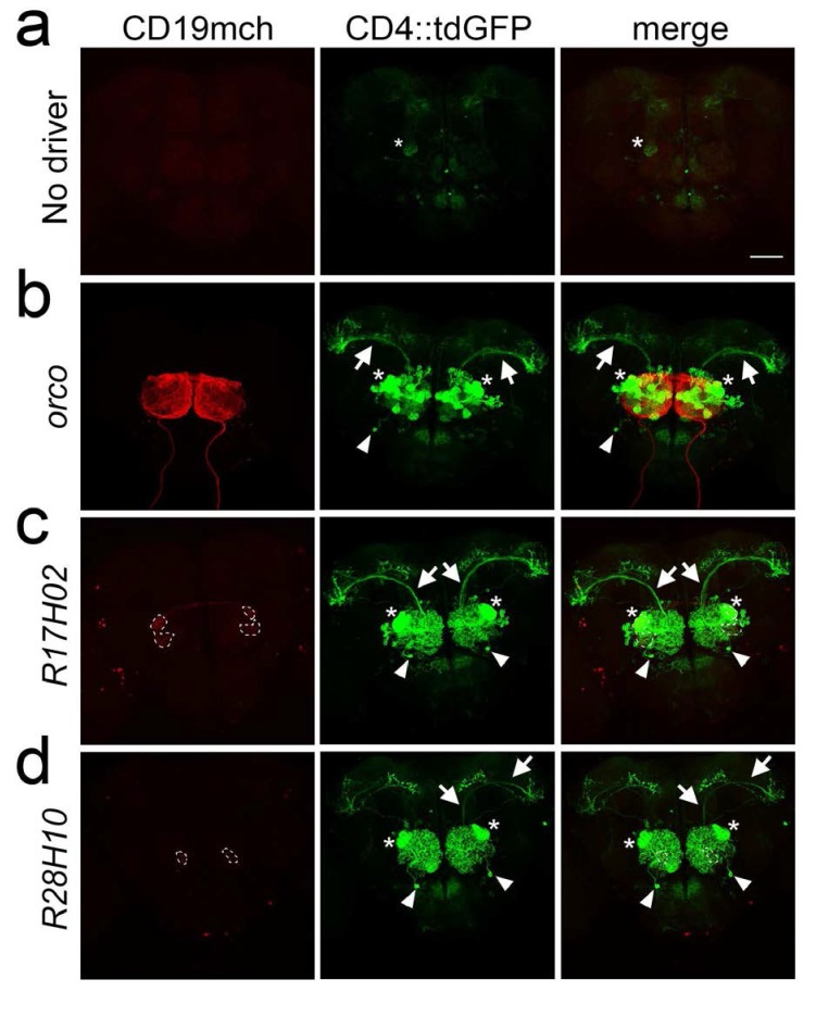 Figure 2—figure supplement 6.