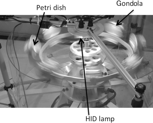 Fig. 1