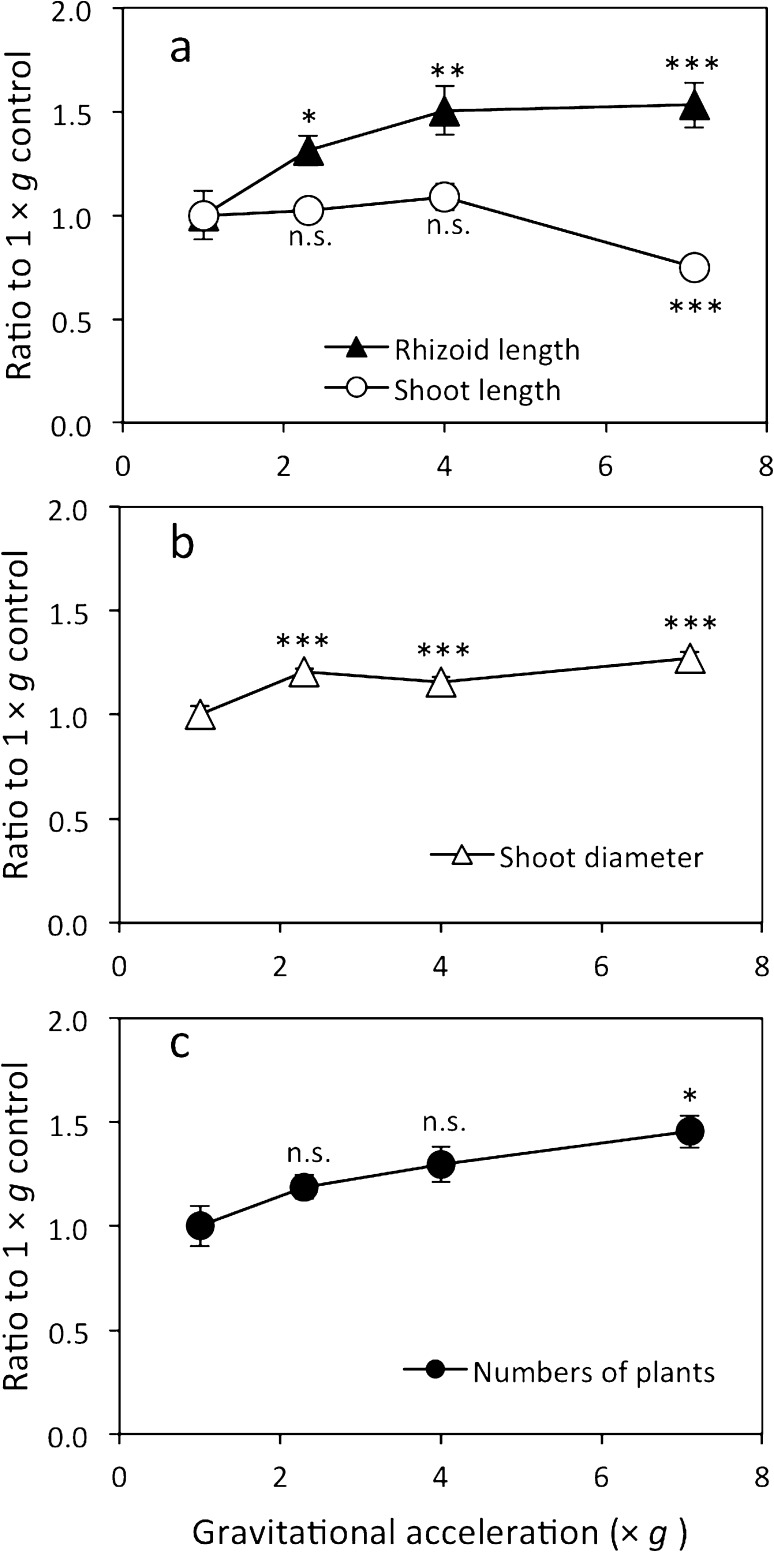 Fig. 2