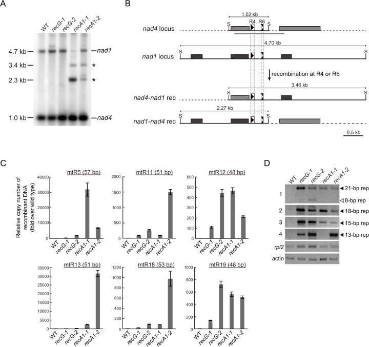 Fig 6