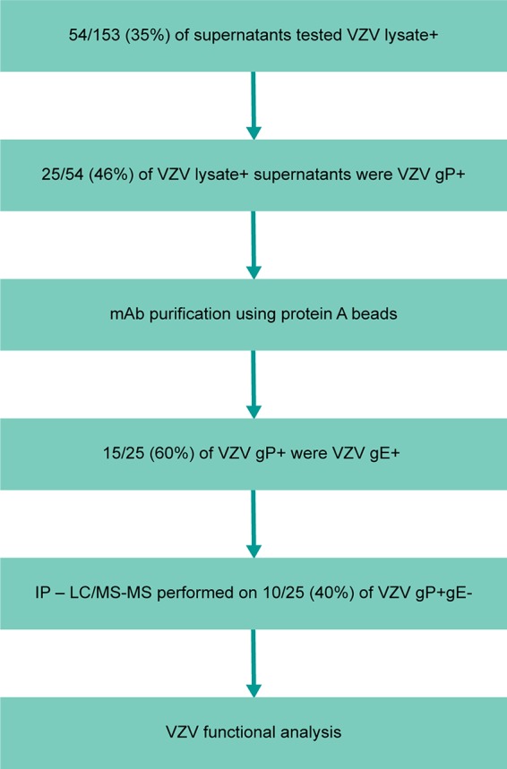 FIG 4