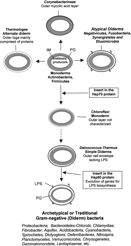 Fig. 2