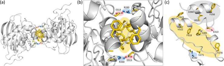 Fig 3