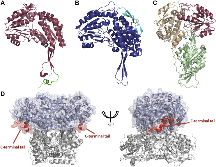 FIGURE 5