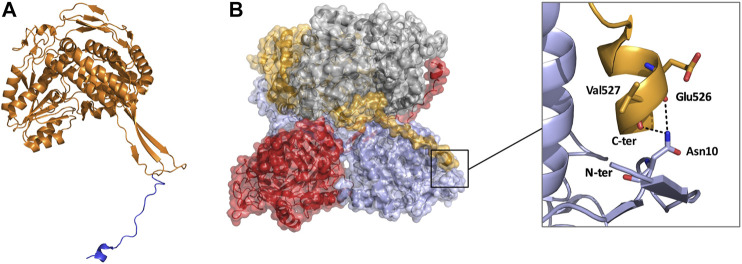 FIGURE 7