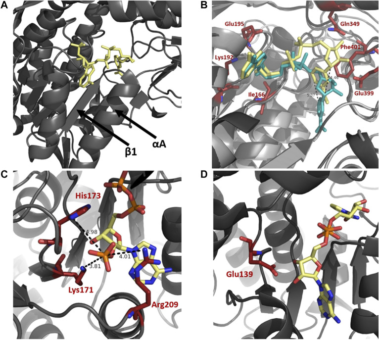 FIGURE 4