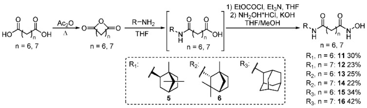 Scheme 4