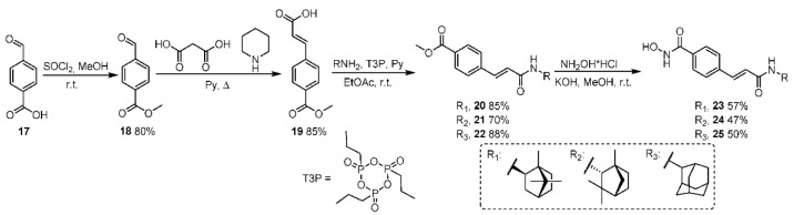 Scheme 5