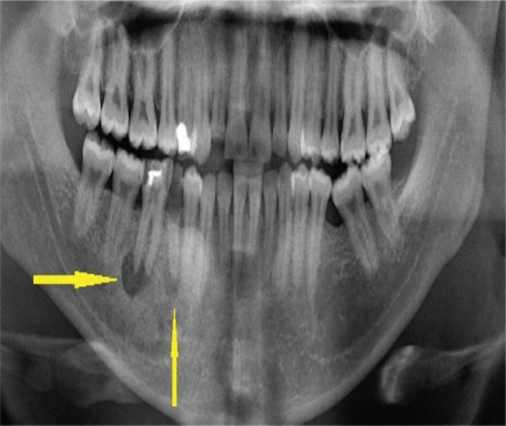 Figure 1: