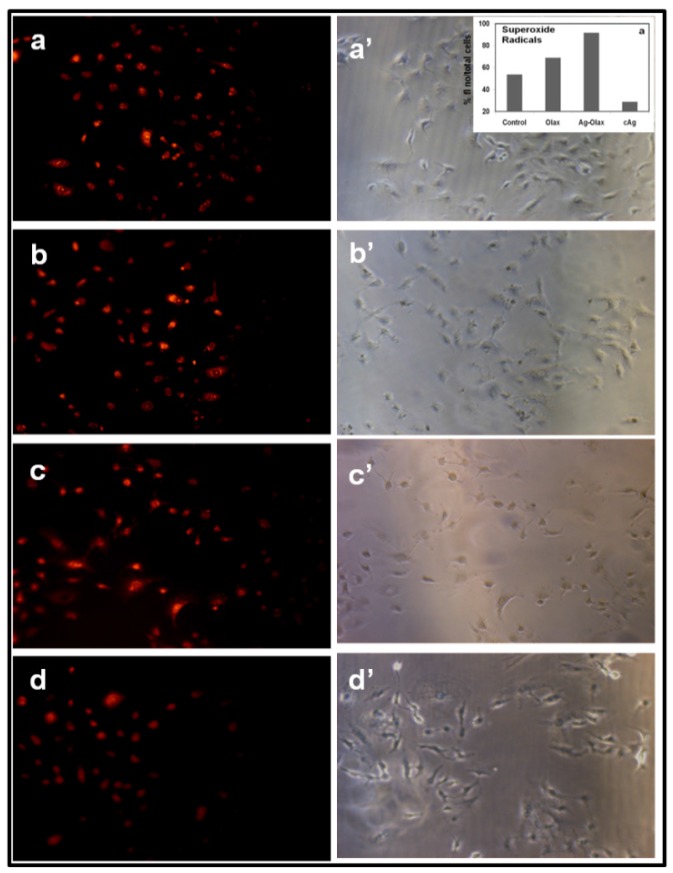 Figure 7