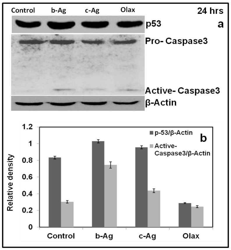 Figure 9