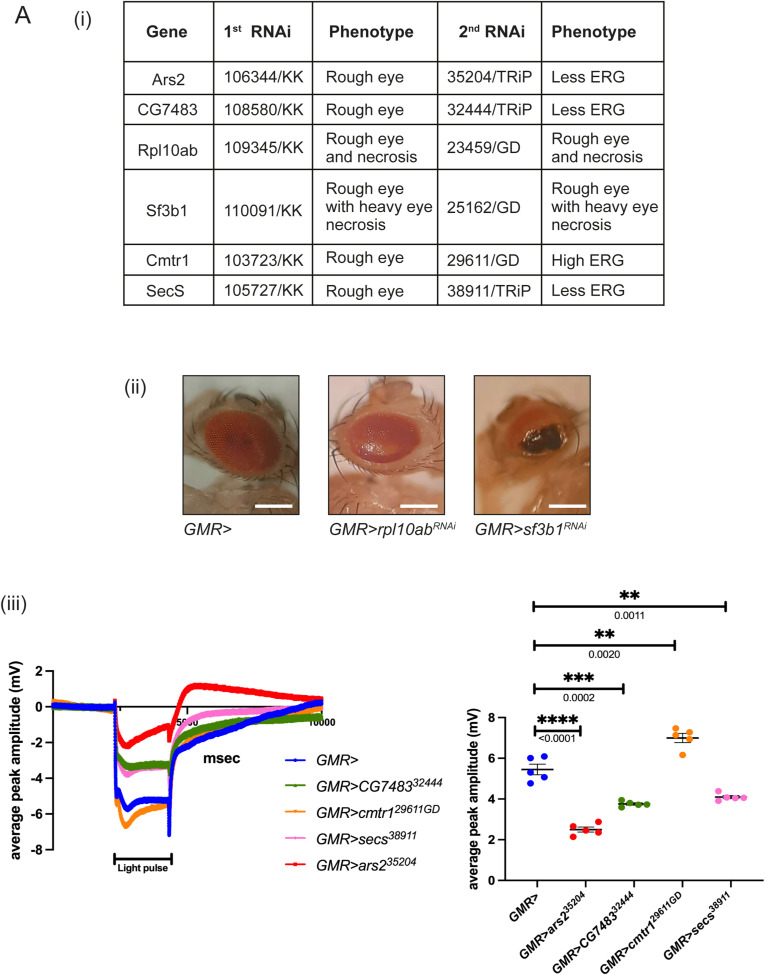 Figure S1.