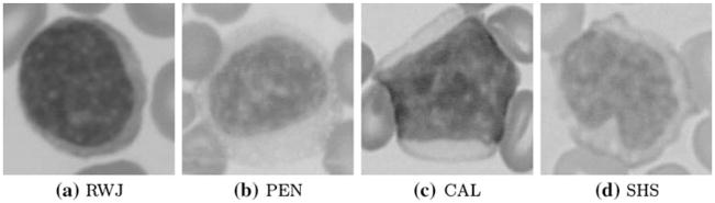 Fig. 6