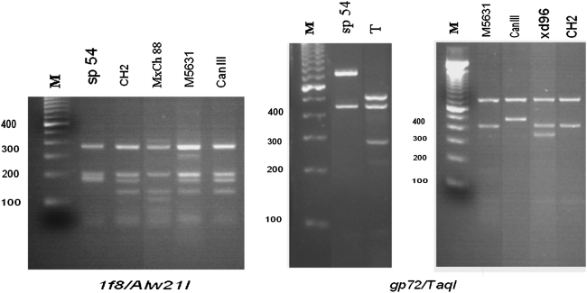 FIG. 6.