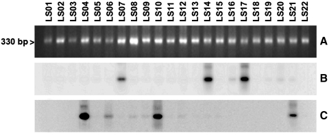 FIG. 5.