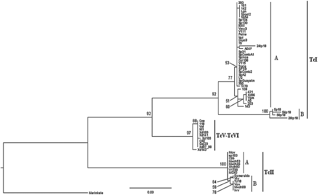 FIG. 1.