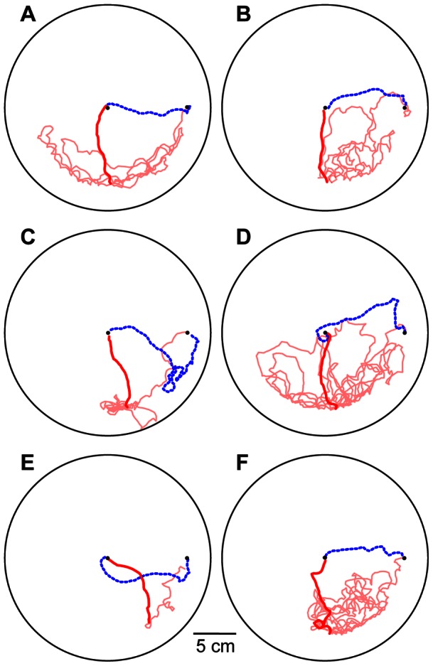 Figure 8