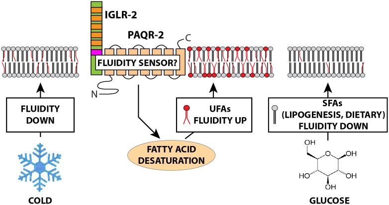 Fig 5