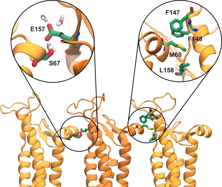 Figure 5.