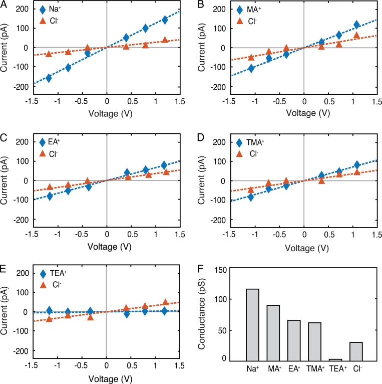 Figure 11.