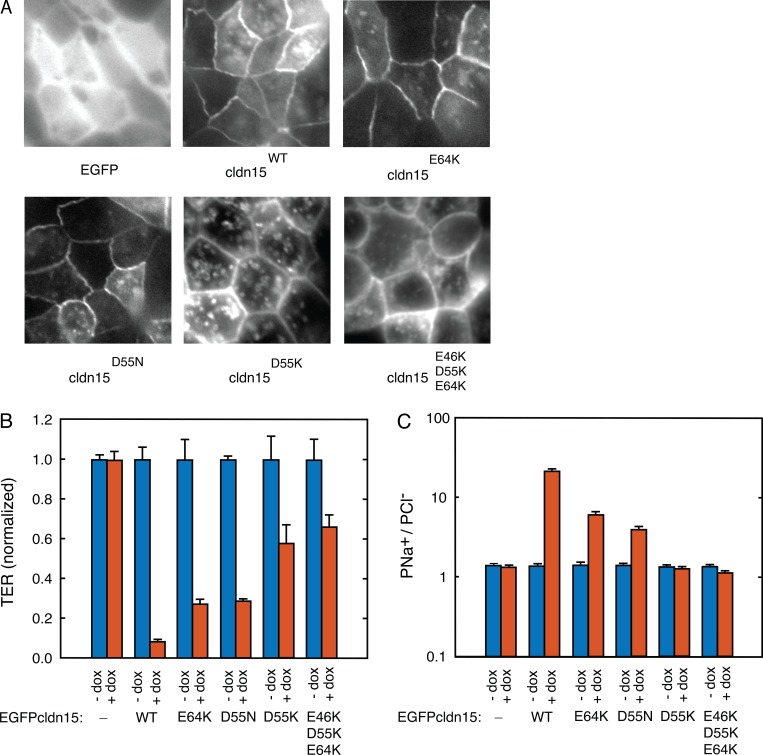 Figure 17.