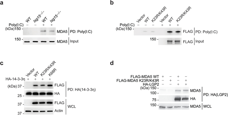 Extended Data Fig. 4